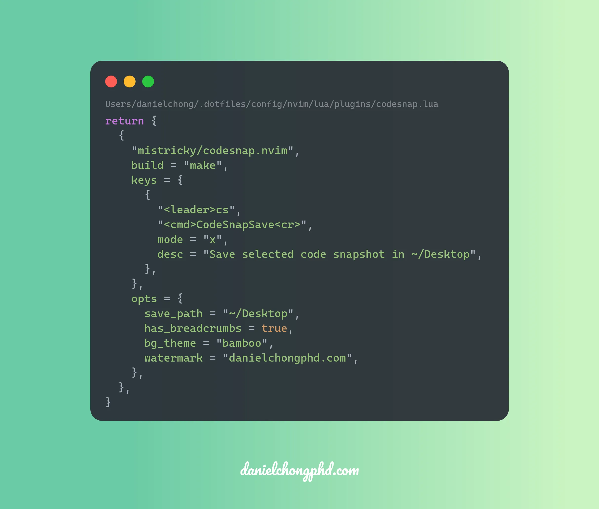 CodeSnap2